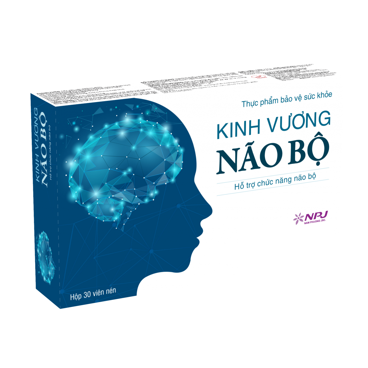 Viên Uống Hỗ Trợ Phục Hồi Chức Năng Não Bộ Kinh Vương Não Bộ