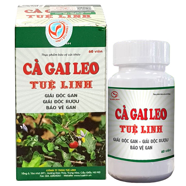 Cà gai leo Tuệ Linh, hỗ trợ tăng cường chức năng giải độc của gan